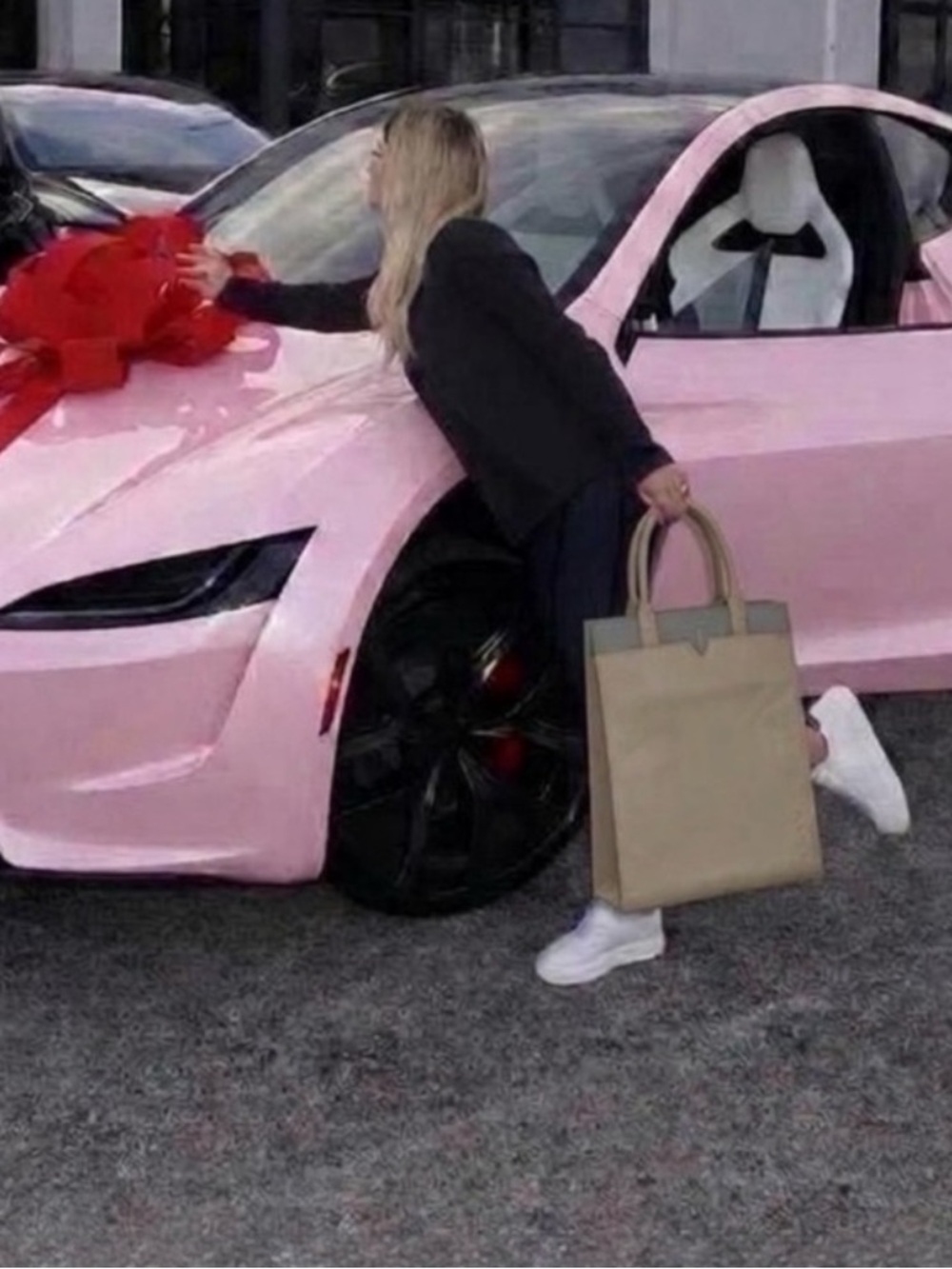 Tesla Corsicana Tote Purse